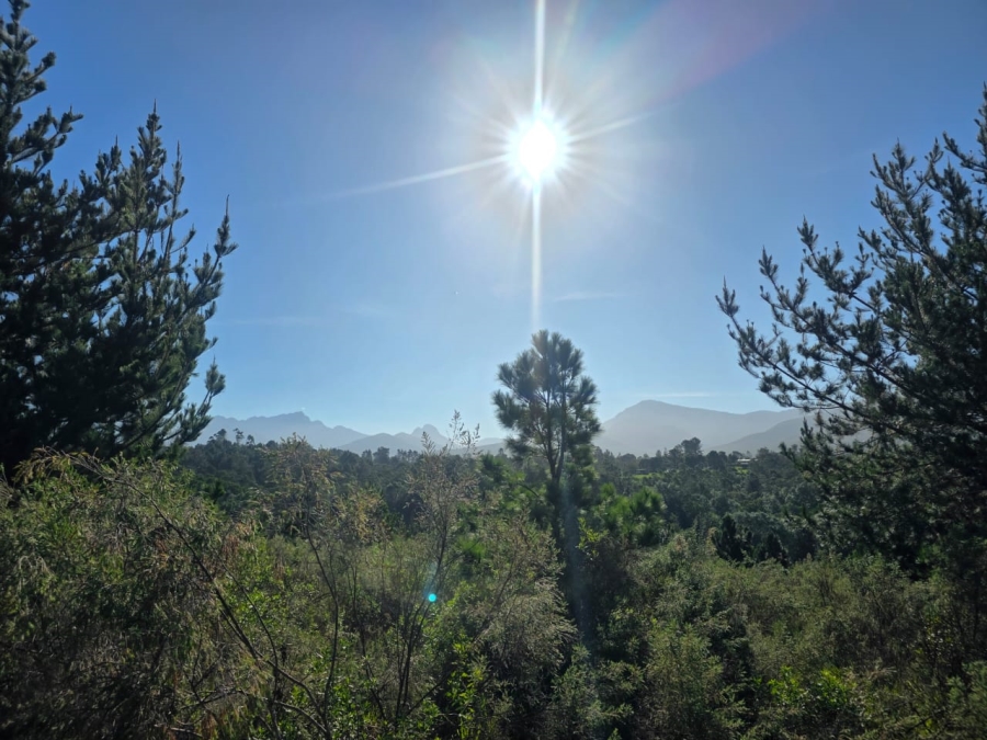 Commercial Property for Sale in Wilderness Heights Western Cape